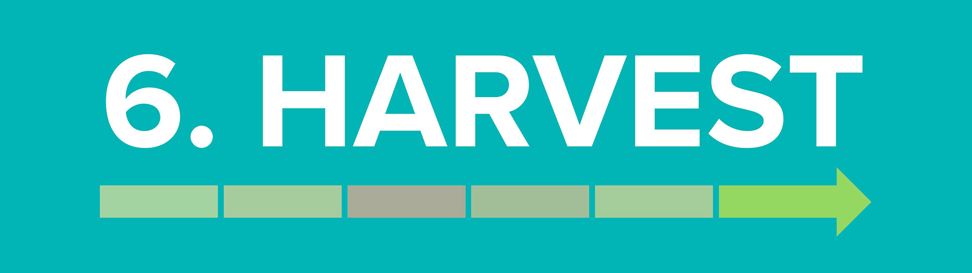 the startup j curve harvest infographic