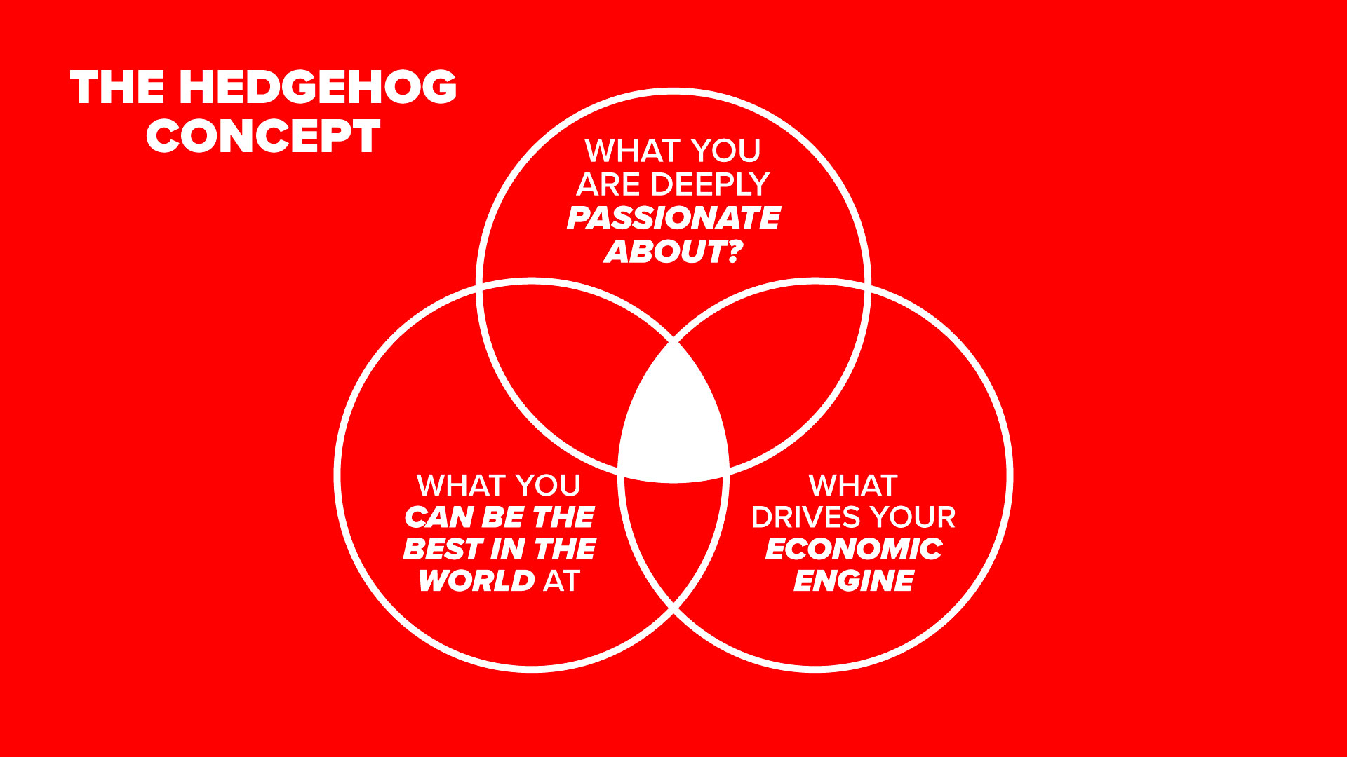 Good To Great Hedgehog Concept Infographic