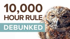the 10000 rule debunked